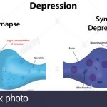 depression-synapse-EG0Y7T